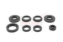 Набор сальников Пл (8 шт) Россия (производитель №2)