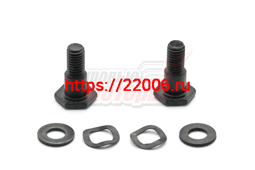 Болты сцепления мотокосы BC/GBC-033/043/052 (2 болта+2 граверные шайбы)