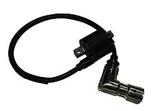 Катушка зажигания 169 FMM, TUNGUS 250 дви (101009)