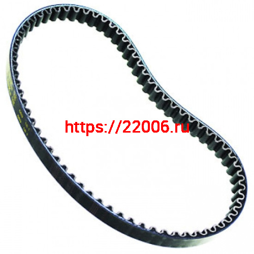 Ремень вариатора 664-14.5